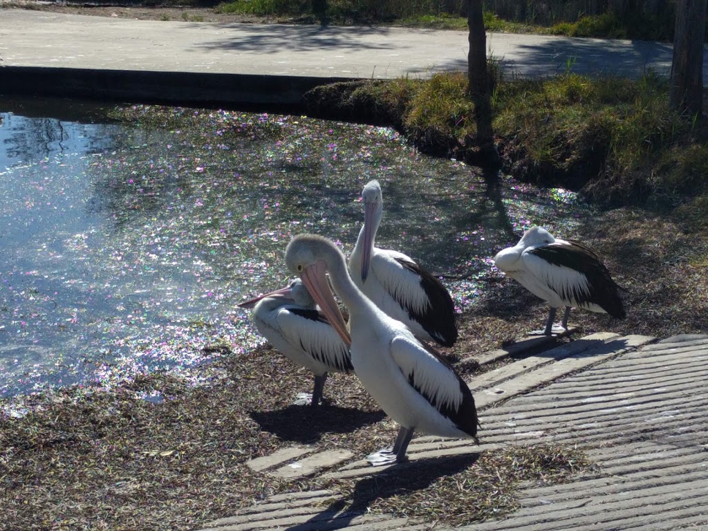 Saltwater Creek Park | park | The Entrance Rd & Tuggerah Parade, Long Jetty NSW 2261, Australia | 0243505555 OR +61 2 4350 5555