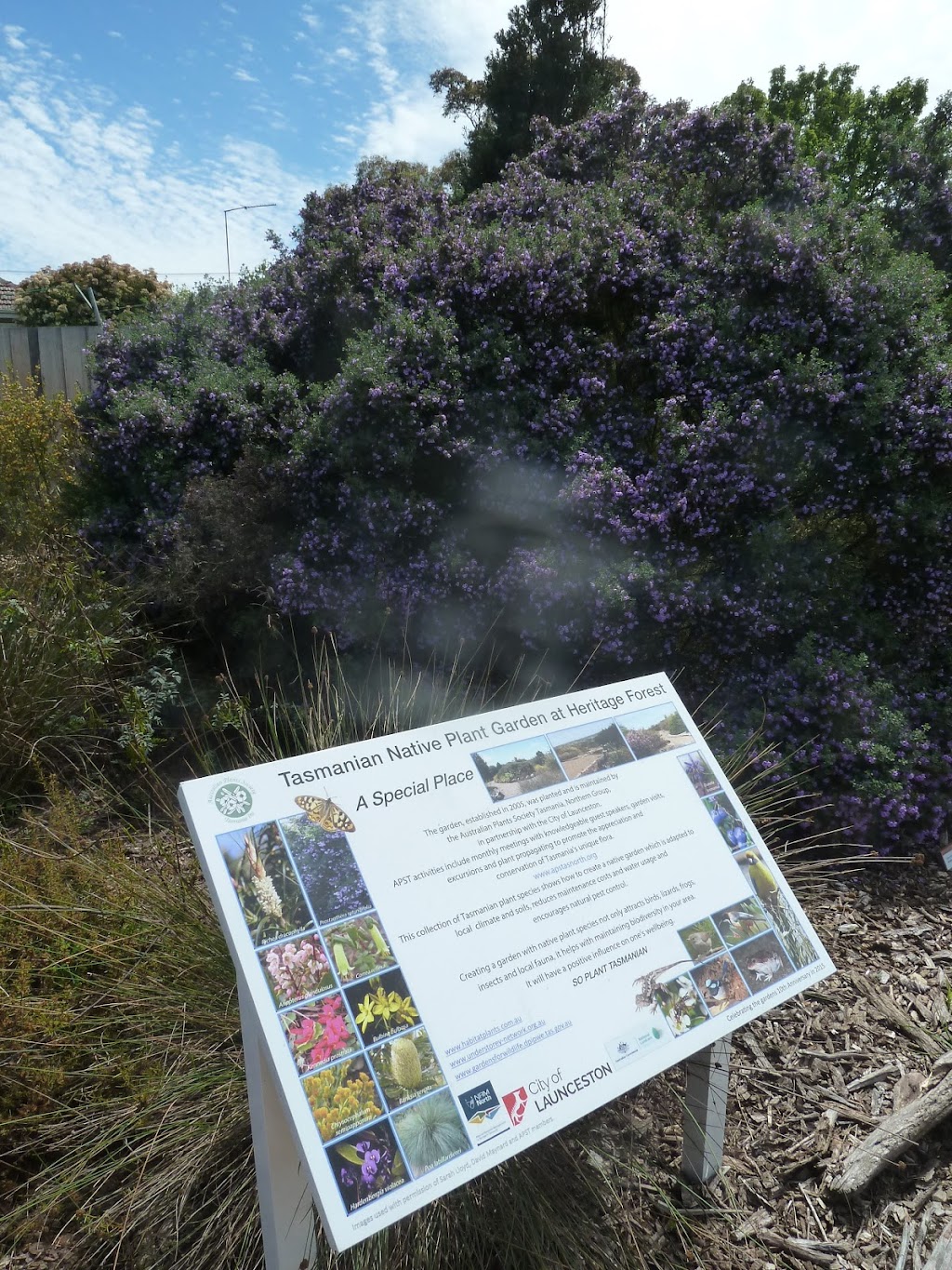 Tasmanian Native Plant Garden | park | 3B Caswell St, Mowbray TAS 7248, Australia | 0413501799 OR +61 413 501 799