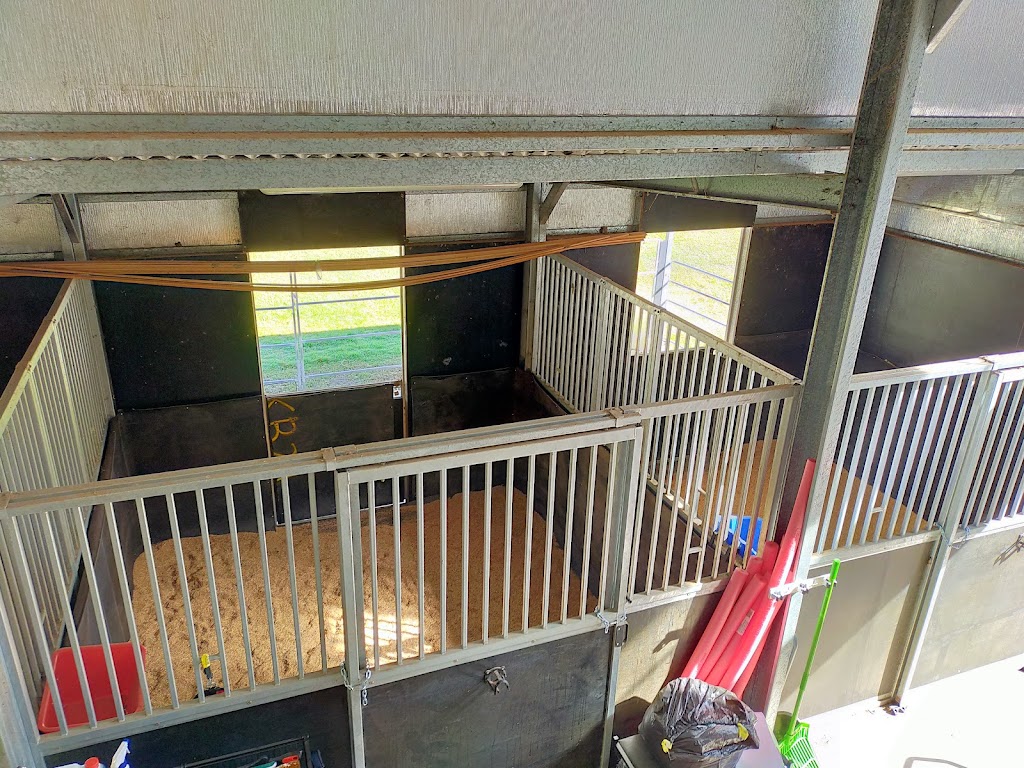 Zamunda Park Equine Services | 967 Stockleigh Rd, Stockleigh QLD 4280, Australia | Phone: 0427 166 164 Zamunda Park Equine Services | 967 Stockleigh Rd, Stockleigh QLD 4280, Australia | Phone: 0427 166 164