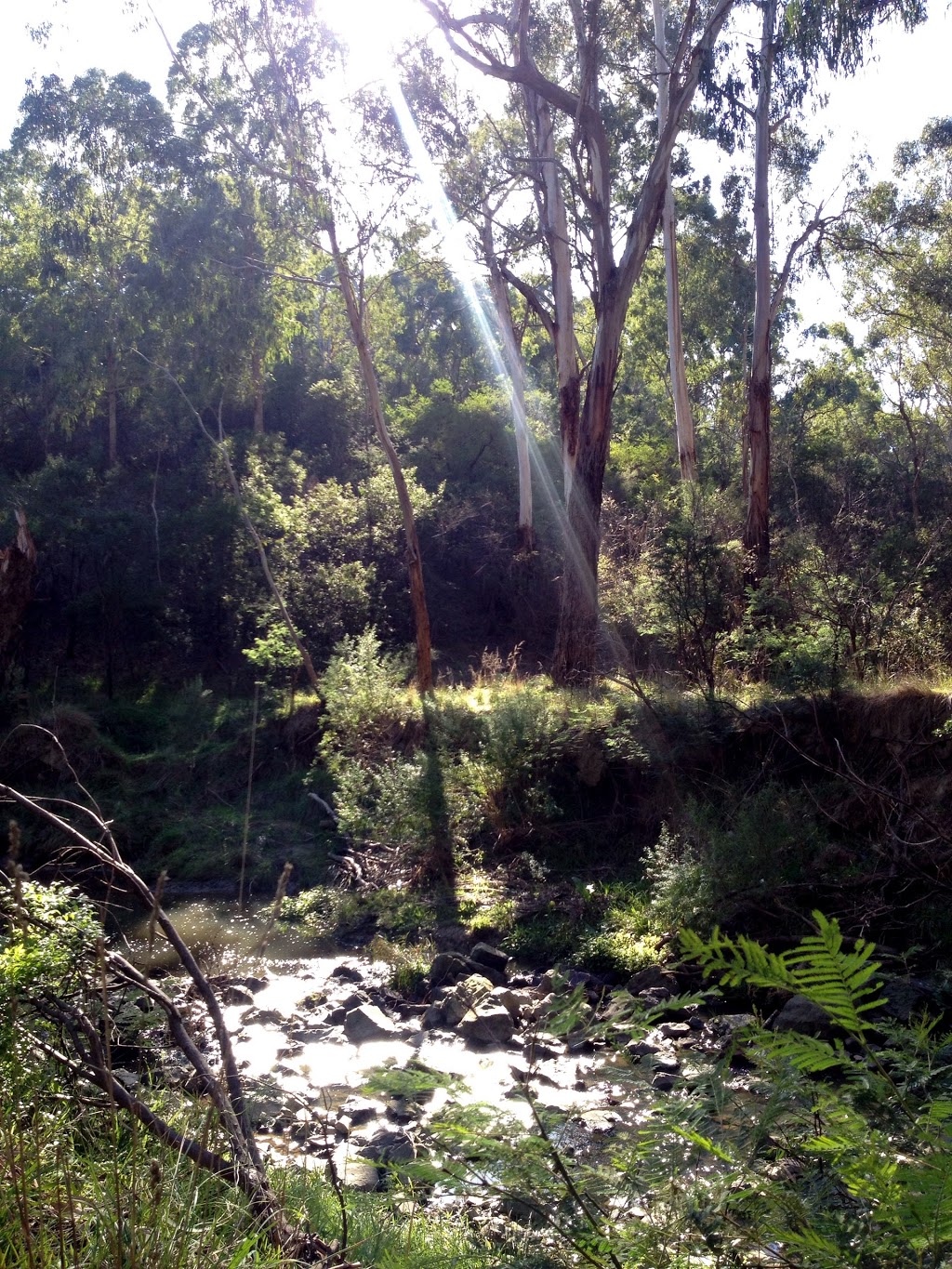 Mullum Mullum Creek Linear Park | Donvale VIC 3111, Australia