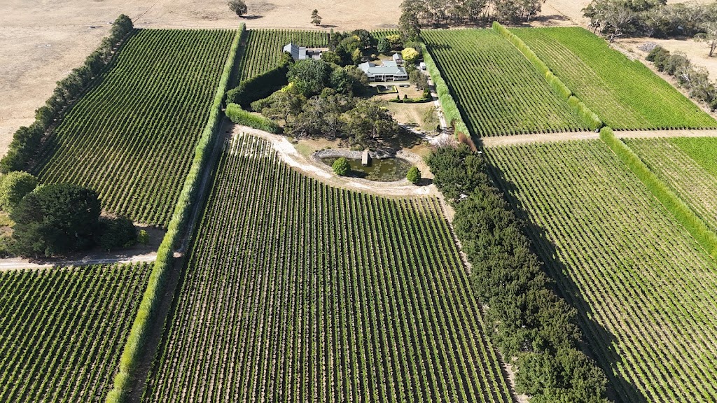Cobboboonee Vineyard and Cellar Door | 376 Catons Flat Rd, Heywood VIC 3304, Australia | Phone: 0436 961 176