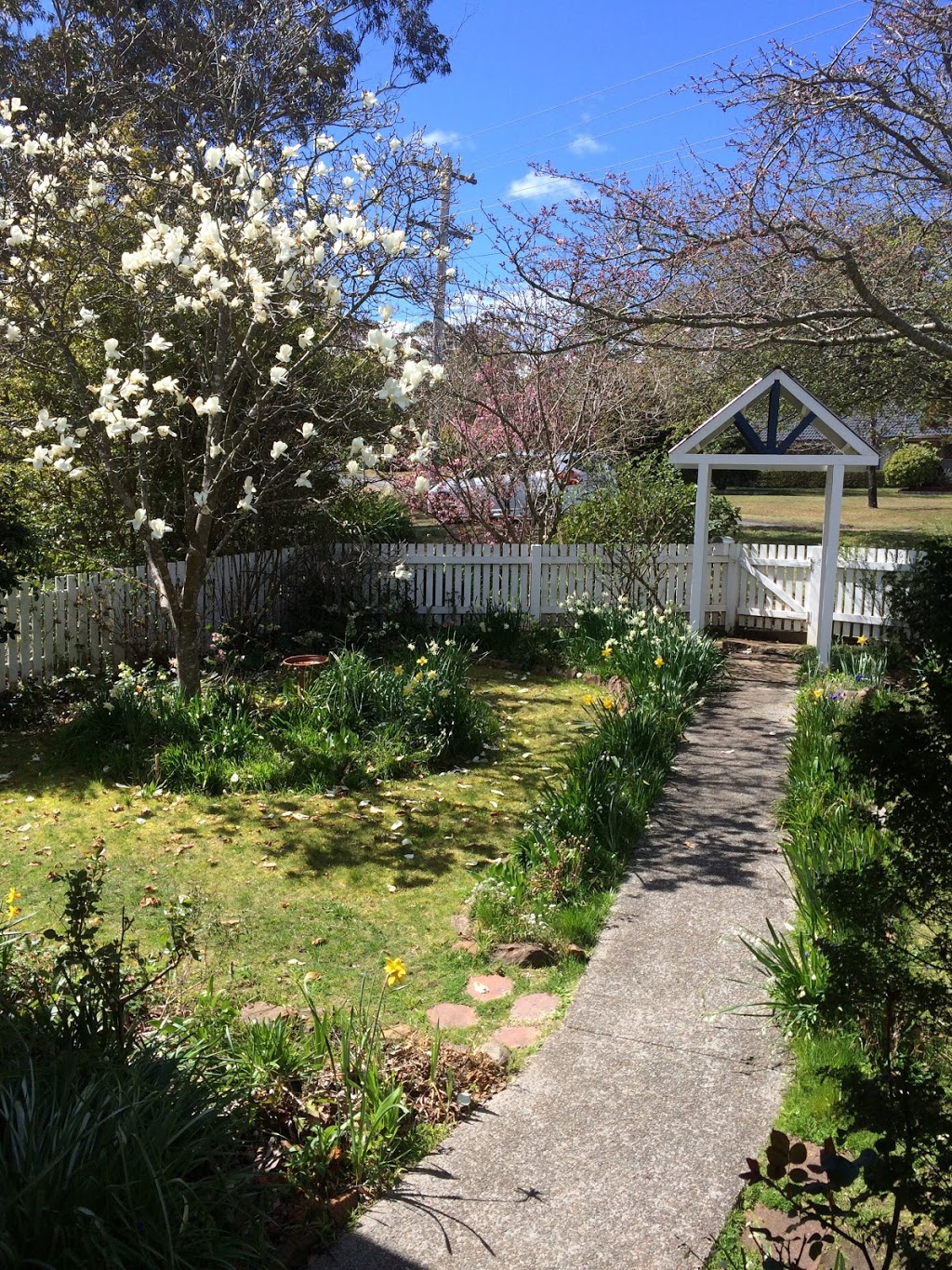 Aurora Cottage | 65 Narrow Neck Rd, Katoomba NSW 2780, Australia