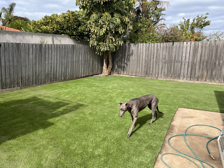 Lavelle Landscapes and Constructions | 9 Loris Cl, Grovedale VIC 3216, Australia | Phone: 0458 176 386