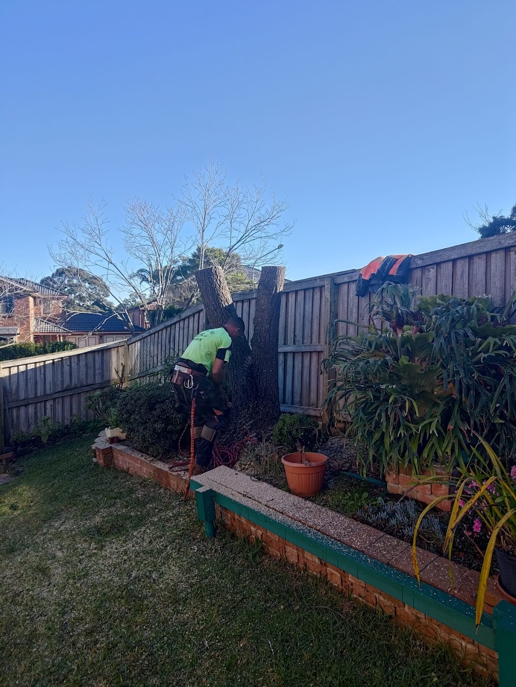 Fast Call Tree Service | 21 Geraldine Ave, Baulkham Hills NSW 2153, Australia | Phone: 1800 800 206