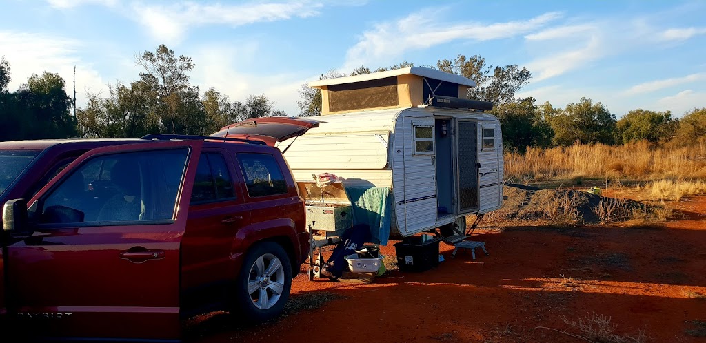 Langtree Nature Reserve | Hillston NSW 2675, Australia