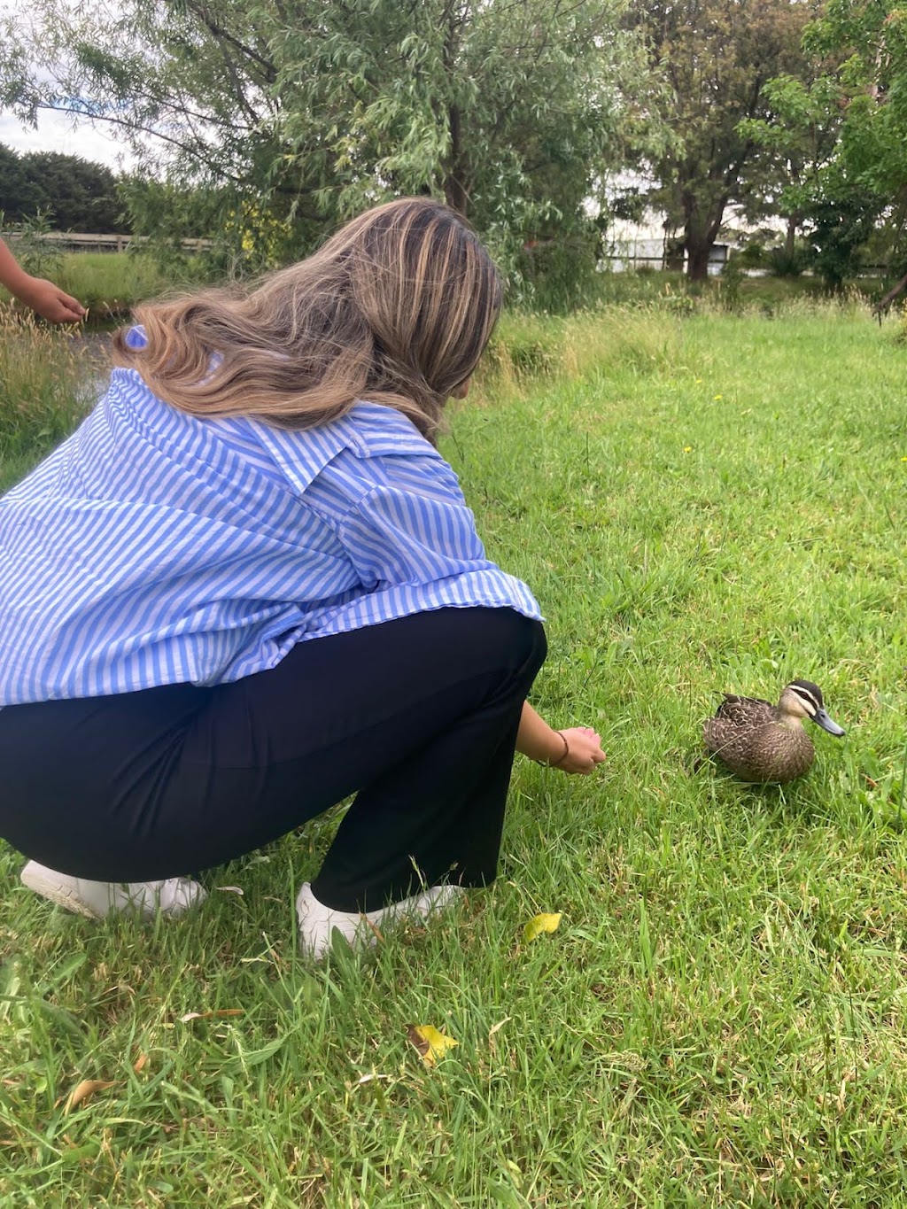 ME Animal Assisted Wellness | 214 Eramosa Rd W, Moorooduc VIC 3933, Australia | Phone: 0416 122 946