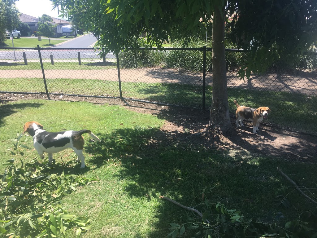 Sunstone Circuit Dog Park | 27-37 Bonnet Parade, Mango Hill QLD 4509, Australia