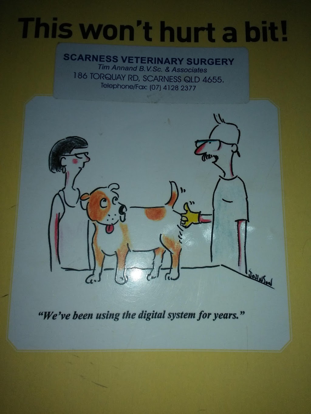 Scarness Veterinary Surgery | veterinary care | 186 Torquay Rd, Scarness QLD 4655, Australia | 0741282377 OR +61 7 4128 2377