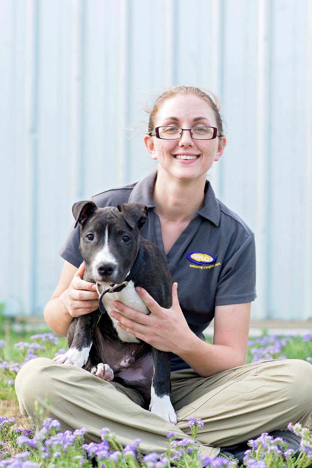 Animal Welfare League Qld | pet store | 501 Gooderham Rd, Willawong QLD 4110, Australia | 0737142800 OR +61 7 3714 2800