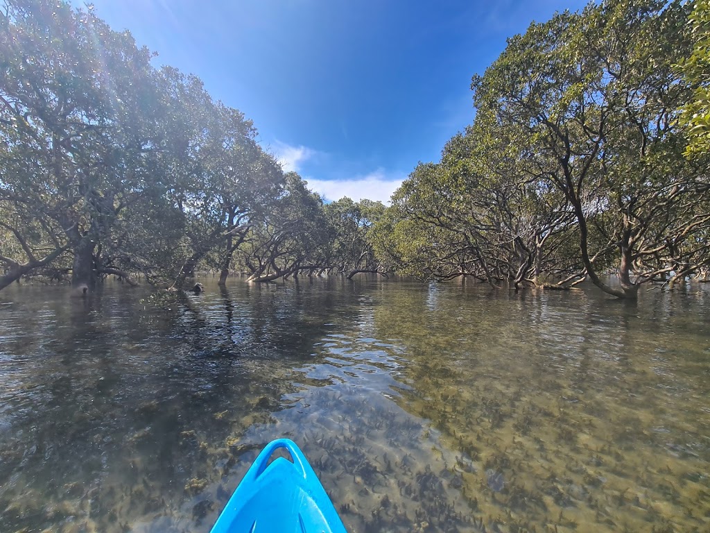 Jervis Bay Mangrove Boardwalk | 2a Dent St, Huskisson NSW 2540, Australia