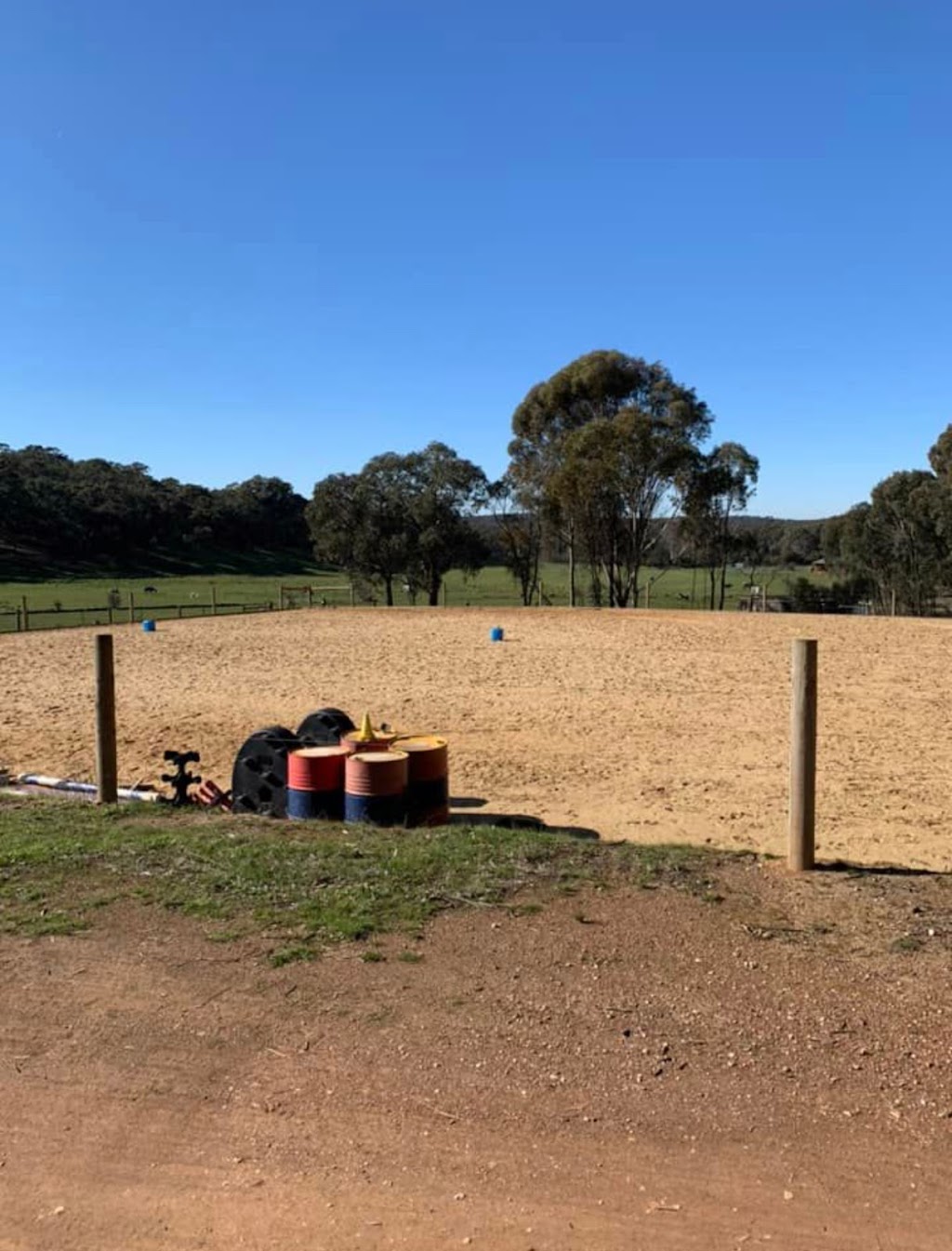 Terry Smith Horse Agistment | 66 Hogans Rd, Sedgwick VIC 3551, Australia | Phone: (03) 5439 4144