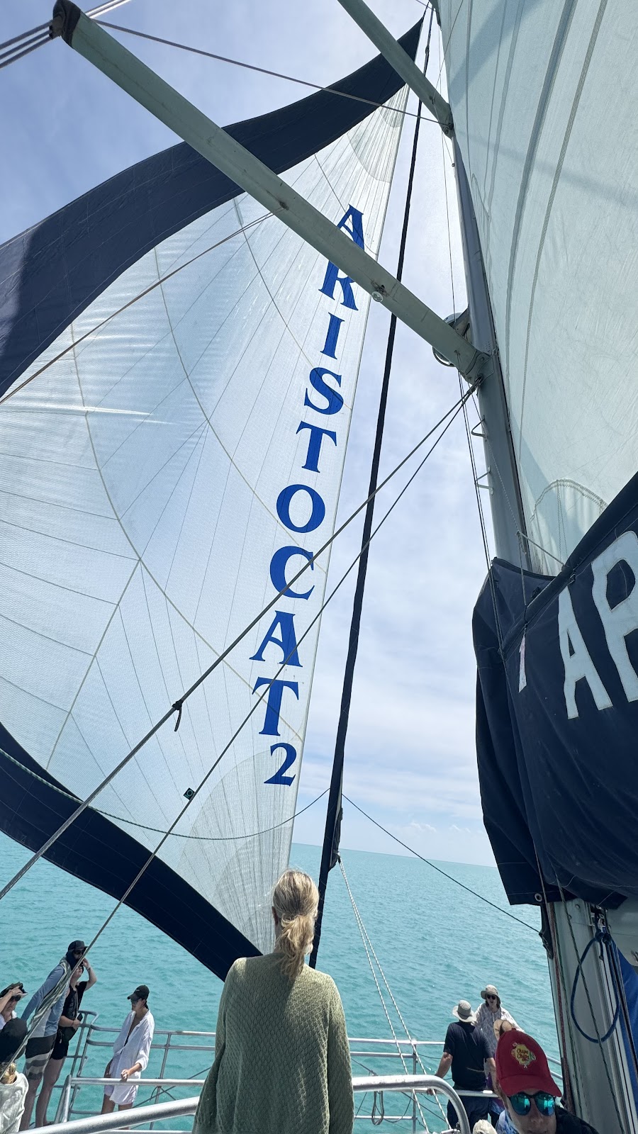 Aristocat2 Perfect Nature Cruises | 1 Monkey Mia Rd, Monkey Mia WA 6537, Australia | Phone: 1800 030 427