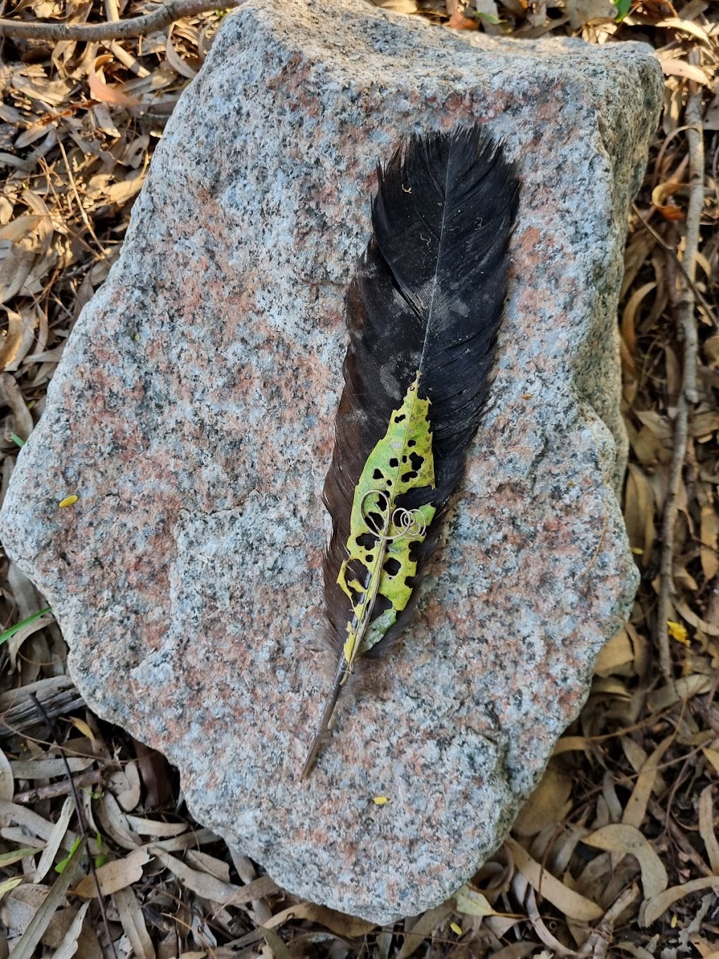 Sanctuary of the Wild | Latina Ave, Seven Hills QLD 4170, Australia | Phone: 0417 616 256