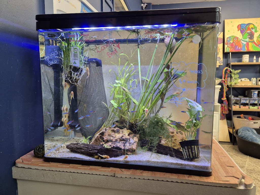 Fins and Fur | 52 Marshall St, Goondiwindi QLD 4390, Australia | Phone: 0448 507 158