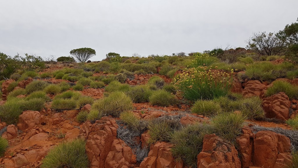 Pondanna Outstation | Loop Track, Gawler Ranges SA 5655, Australia | Phone: 0437 586 725