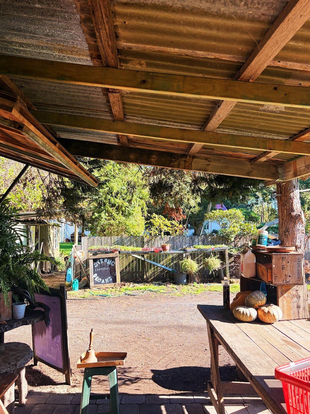 Strong Organics | 131 Millbank Rd, Terara NSW 2540, Australia | Phone: 0402 882 785