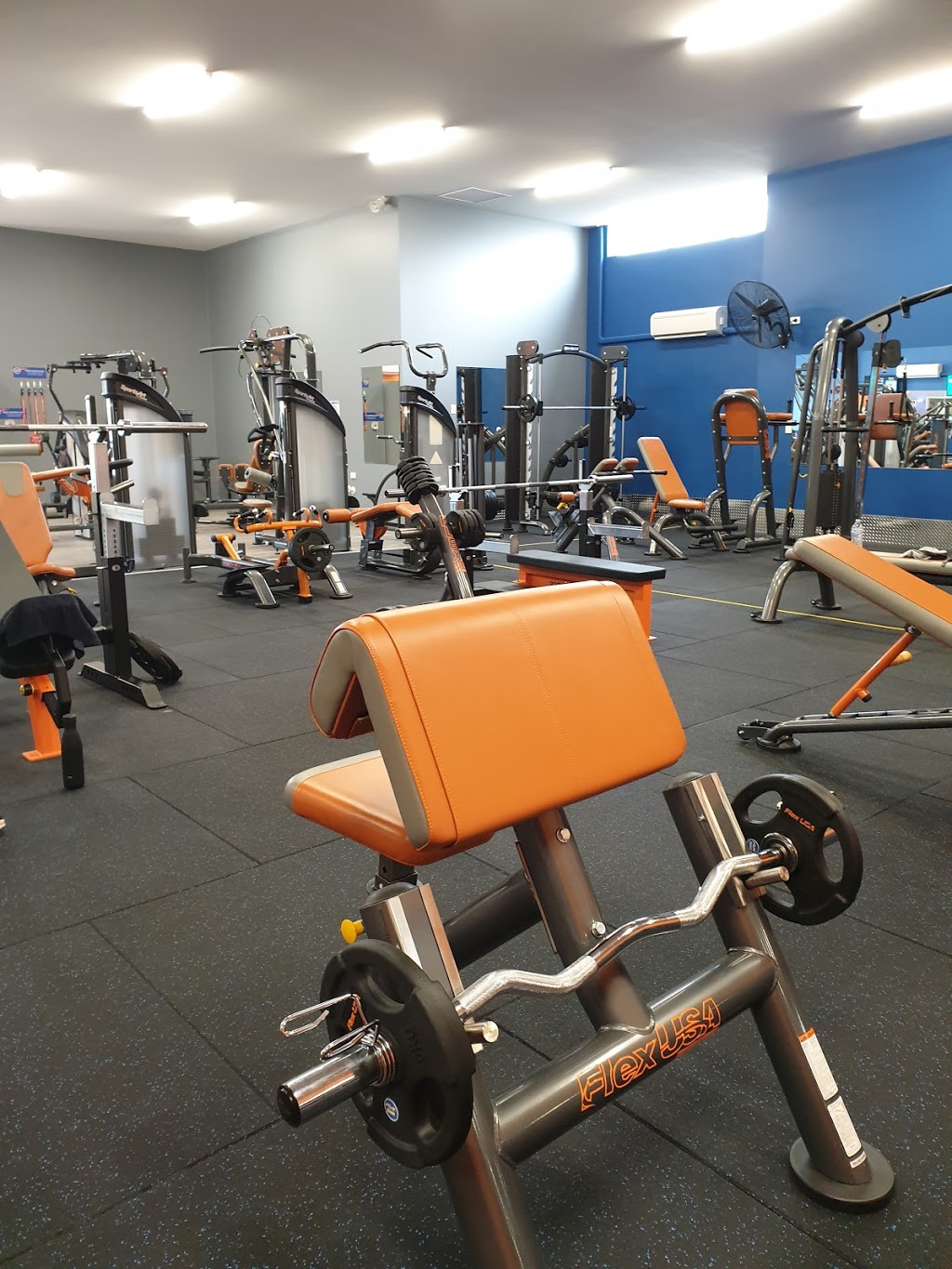 Plus Fitness 24/7 Kingsford | gym | 23 Bruce St, Kingsford NSW 2032, Australia | 0296623595 OR +61 2 9662 3595