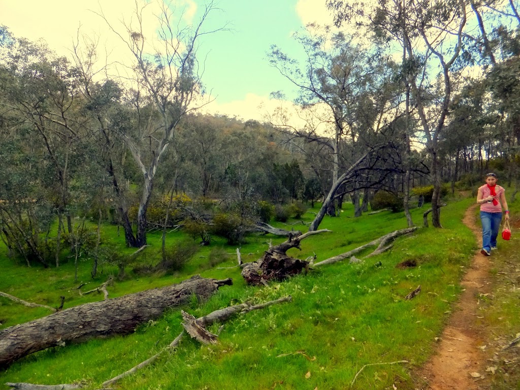 Livingstone National Park | Big Springs NSW 2650, Australia