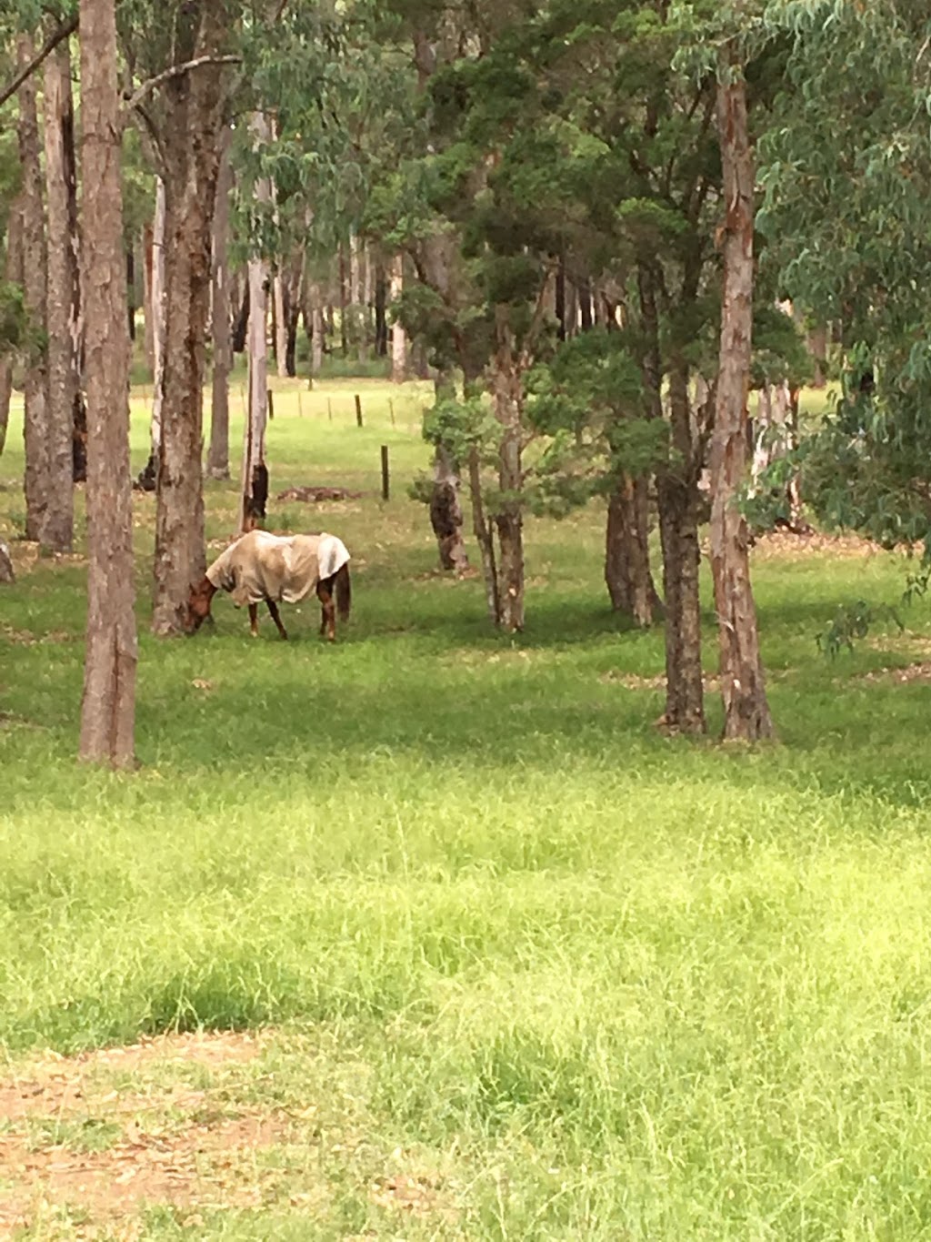 Wilmslow Park Horse Agistment |  | Lot 5 Alkoomie Place, Wilton NSW 2571, Australia | 0421735133 OR +61 421 735 133