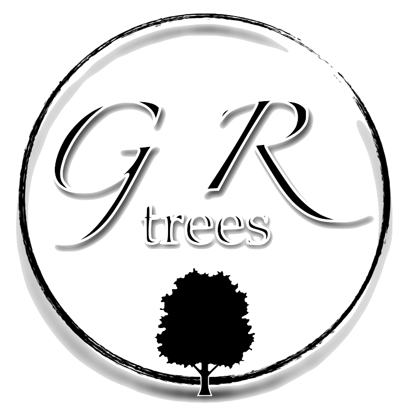 Greg Roberts Trees | 61a First Ave, Katoomba NSW 2780, Australia | Phone: 0419 982 405