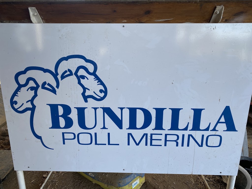 Bundilla Poll Merino Stud | food | Morangarell Rd, Tubbul NSW 2594, Australia | 0263833802 OR +61 2 6383 3802