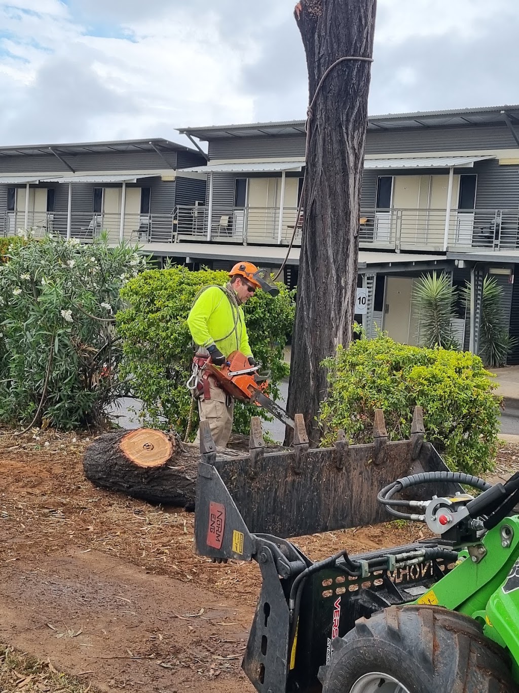 Wades Tree Service | 468 MacKay Habana Rd, Nindaroo QLD 4740, Australia | Phone: (07) 4942 8770