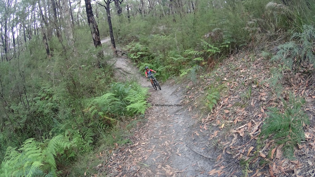 Forrest Yaugher MTB Trailhead | Forrest VIC 3236, Australia