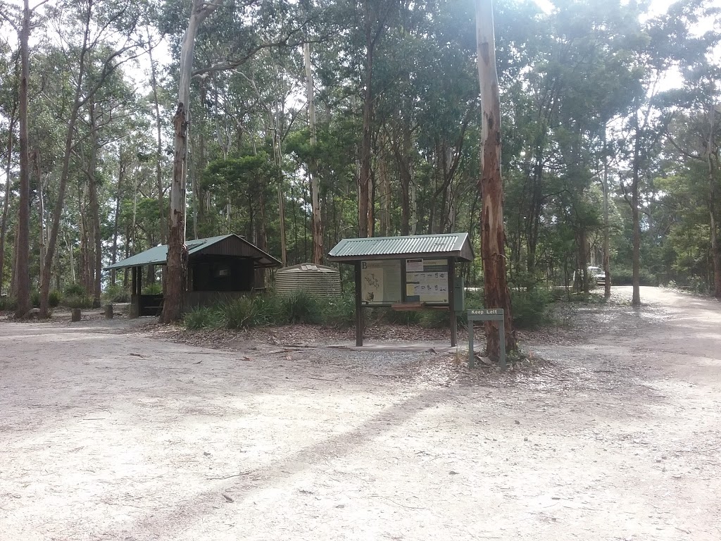 Bald Rock campground and picnic area | campground | Bookookoorara Trail, Carrolls Creek NSW 2372, Australia | 0267364298 OR +61 2 6736 4298