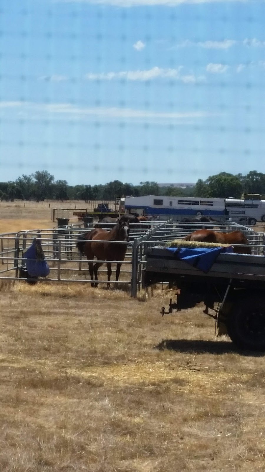 Gingin Scout Hall | park | Coonabidgee WA 6503, Australia