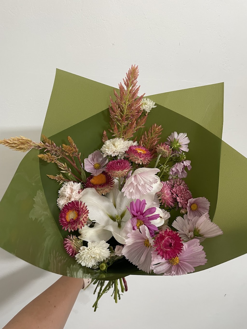 Patience Petal | 88 Bell St, Penshurst VIC 3289, Australia | Phone: (03) 5576 7279