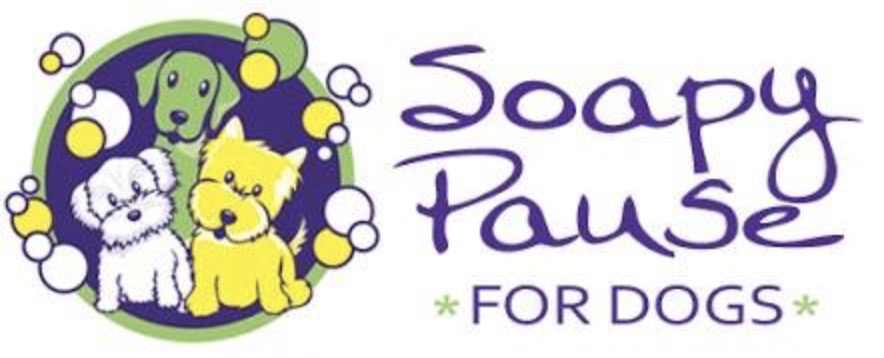 Soapy PAUSE for Dogs | 107 Ocean St, Dudley NSW 2290, Australia | Phone: (02) 4944 7496