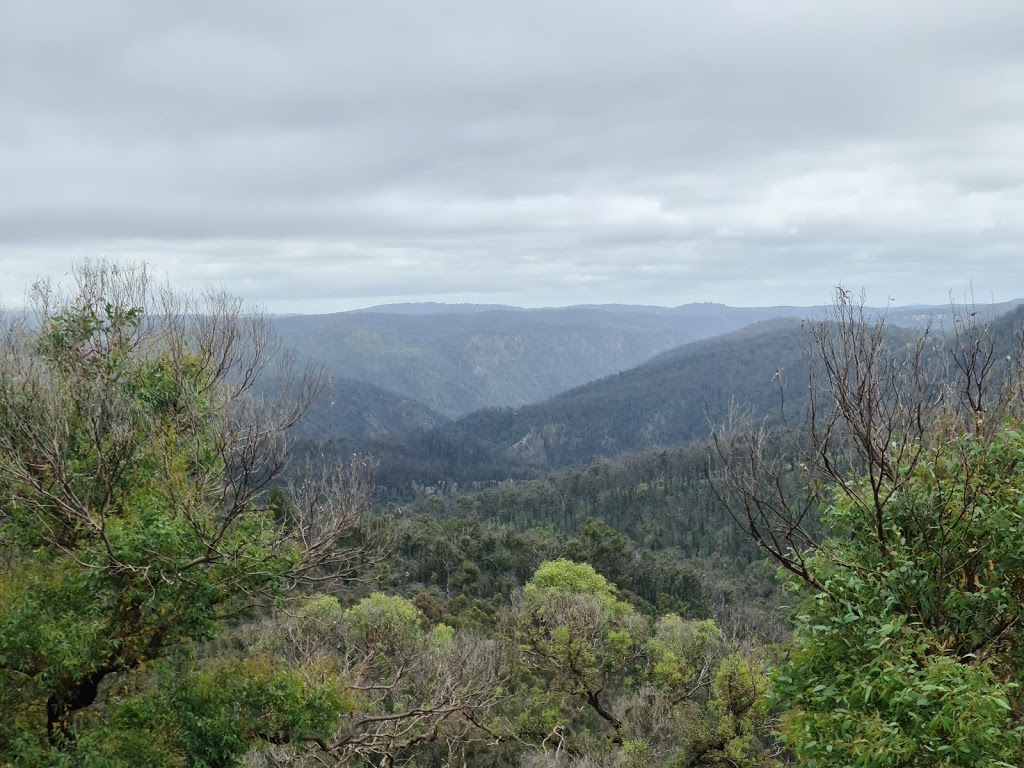 Ebor Falls | tourist attraction | Ebor Walking Track, Ebor NSW 2453, Australia | 0267390700 OR +61 2 6739 0700