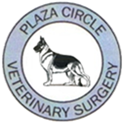 Plaza Circle Vet Surgery | 2 Littleton Dr, Highfields QLD 4352, Australia | Phone: (07) 4630 8633