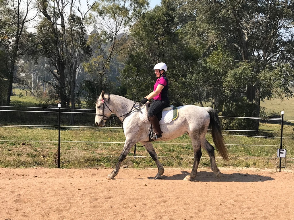 Sydney Hills Horse Riding Centre | 66 Kenthurst Rd, Dural NSW 2158, Australia | Phone: 0421 218 983