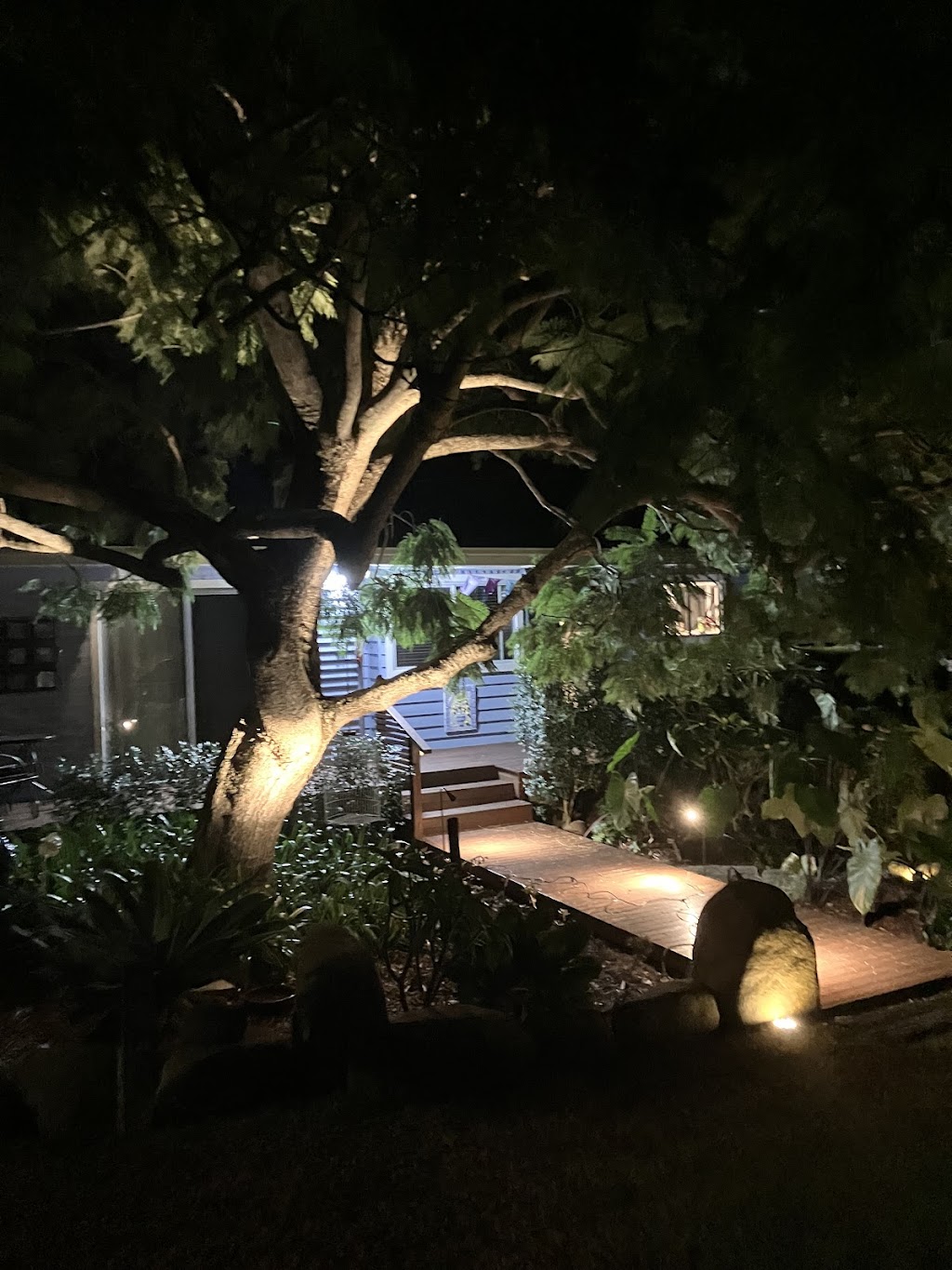 Arbor Medic | 244 Evans Ln, Woodstock NSW 2538, Australia | Phone: (02) 4455 6956