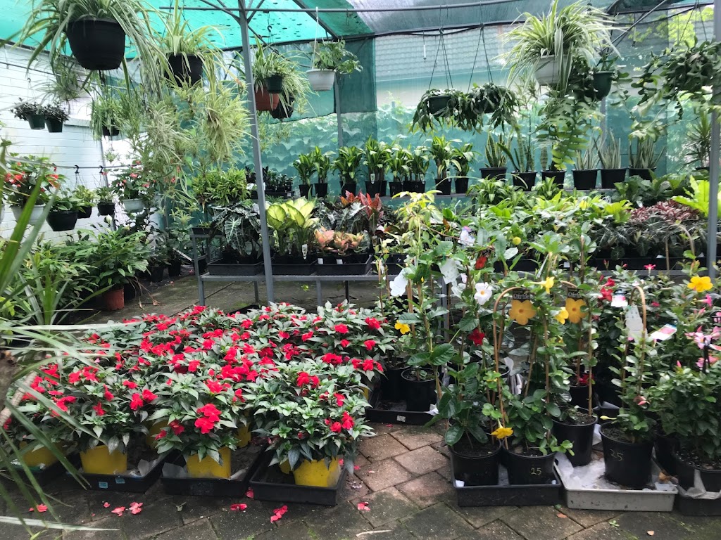 Canley Vale Nursery |  | 13 Hulls Rd, Leppington NSW 2179, Australia | 0421568677 OR +61 421 568 677