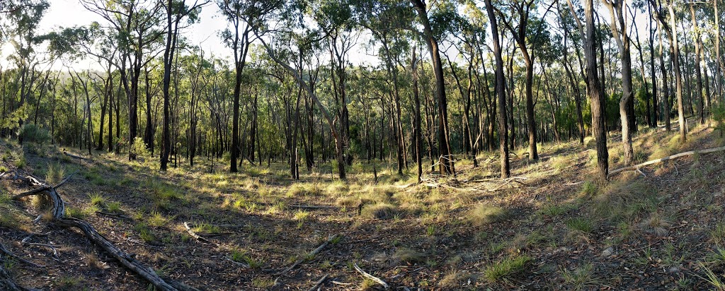 Hochkins Ridge Nature Conservation Reserve | park | Croydon North VIC 3136, Australia