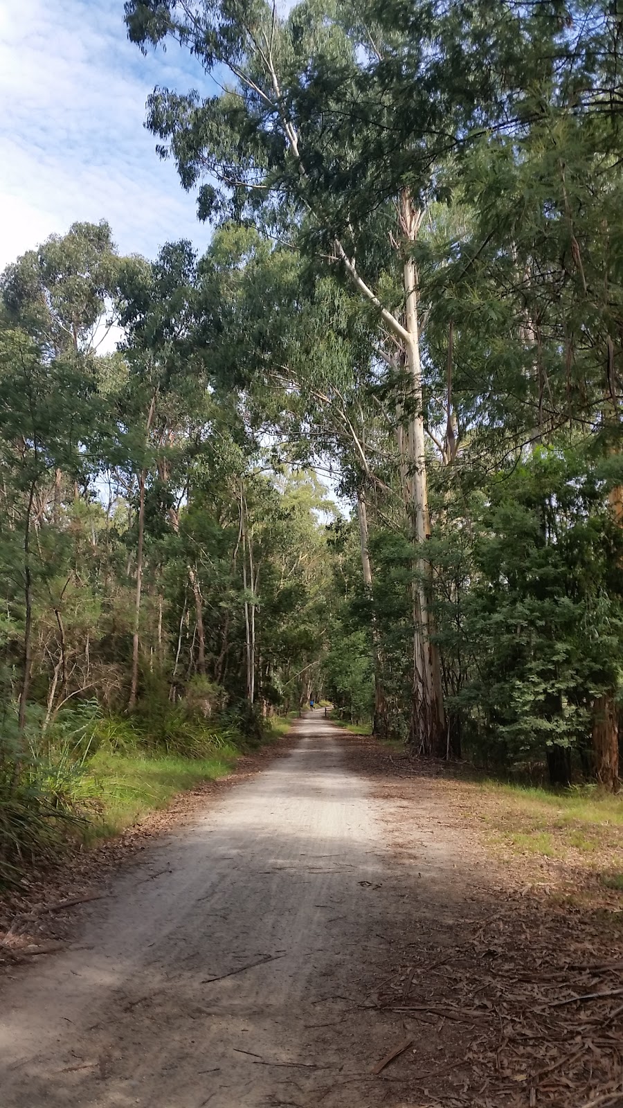 Warburton Trail | park | Lilydale VIC 3140, Australia