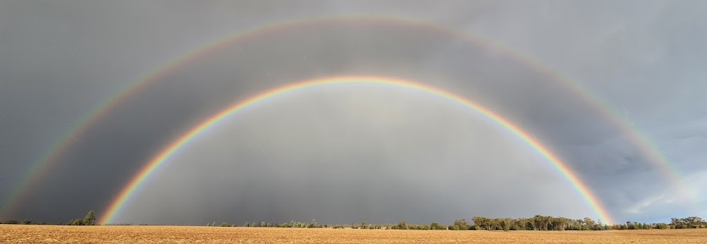 S & K Klante Farming | 686 Glengariff Rd, Pangee NSW 2825, Australia | Phone: 0401 305 002