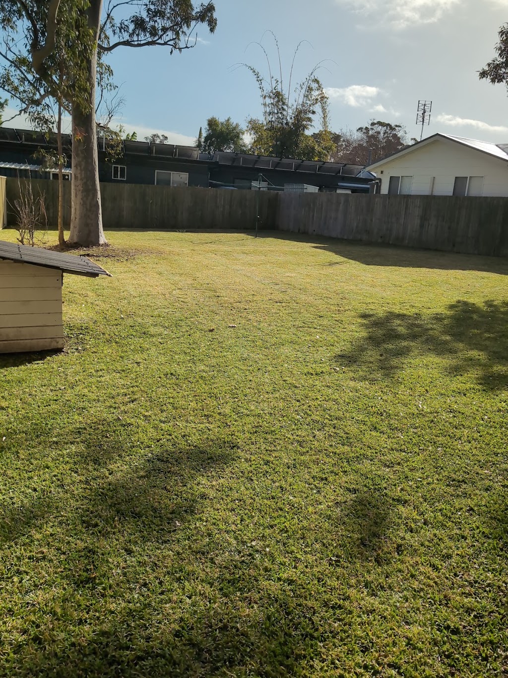 Budget Lawns Plus | 11 Helena St, Balcolyn NSW 2264, Australia | Phone: 1300 866 122