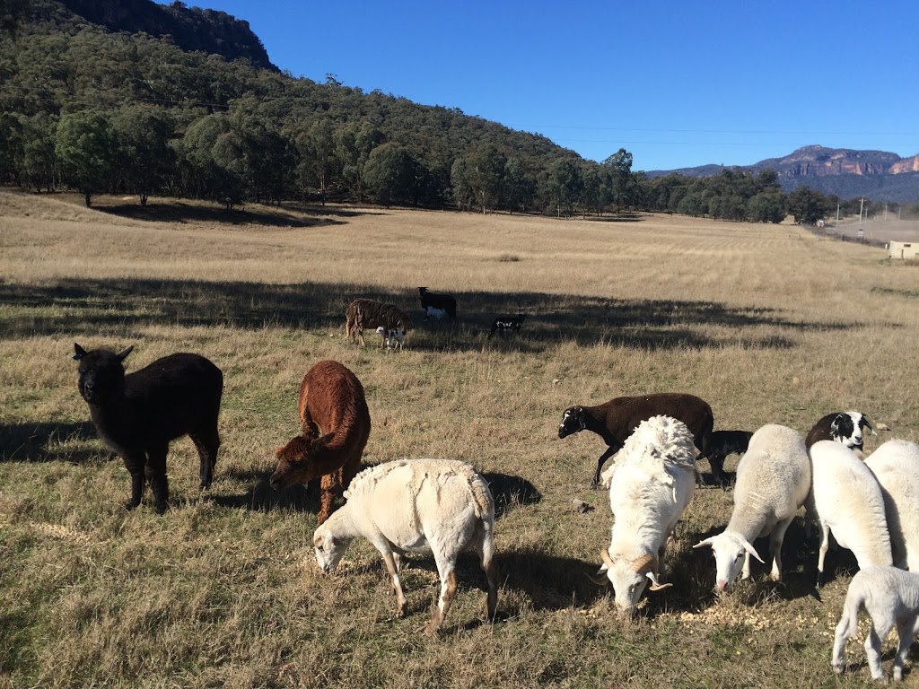 Capertee Valley Farmstays | park | 4679 Glen Alice Rd, Glen Davis NSW 2486, Australia | 0414243942 OR +61 414 243 942