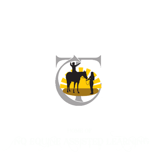 Townsville Horse Riding Centre | 20 Willing Dr, Nome QLD 4816, Australia | Phone: 0478 675 564