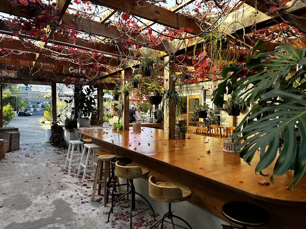 Poppies Anglesea | 1 Simmons Ct, Anglesea VIC 3230, Australia | Phone: (03) 5203 5785