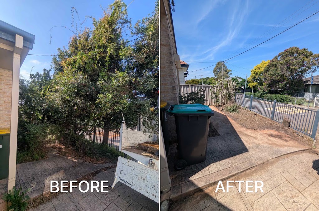 Gringo Yard And Garden Maintenance | 73 Janet St, North Lambton NSW 2299, Australia | Phone: 0468 688 967
