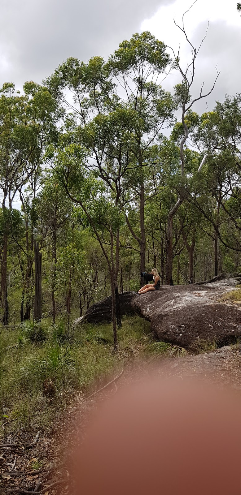 Rocks Picnic Area | Unnamed Road,, Karawatha QLD 4117, Australia