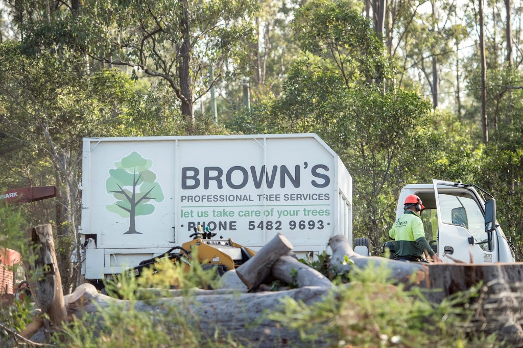 Browns Professional Tree Service | 449 Eel Creek Rd, Pie Creek QLD 4570, Australia | Phone: (07) 5482 9693