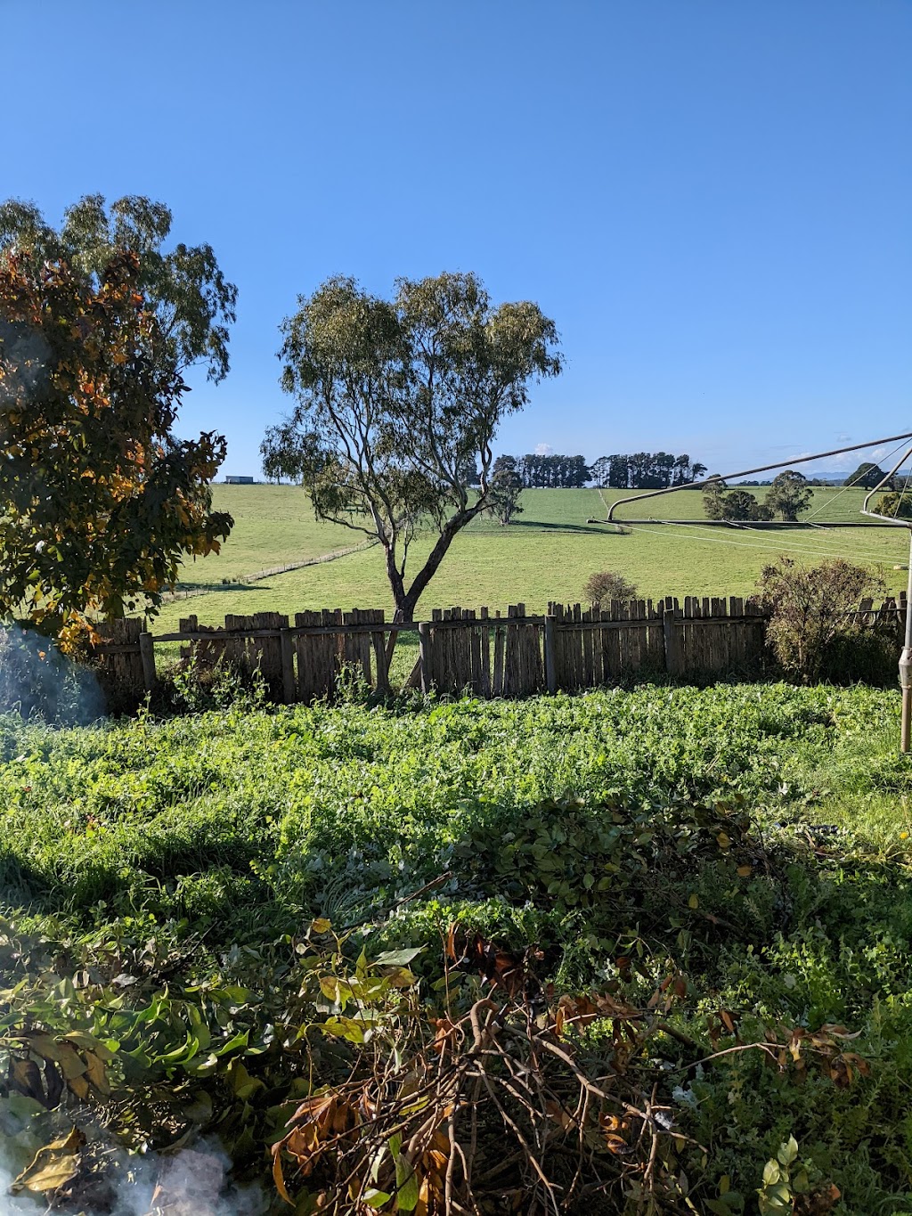 Snappers Garden | 368 Bloomfield Rd, Nilma North VIC 3821, Australia | Phone: 0484 131 439