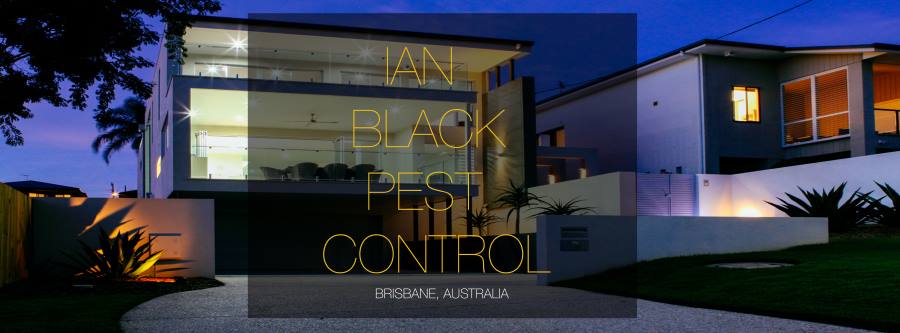 Ian Black Pest Control | home goods store | 13 Kite Cres, Thornlands QLD 4164, Australia | 0435794066 OR +61 435 794 066