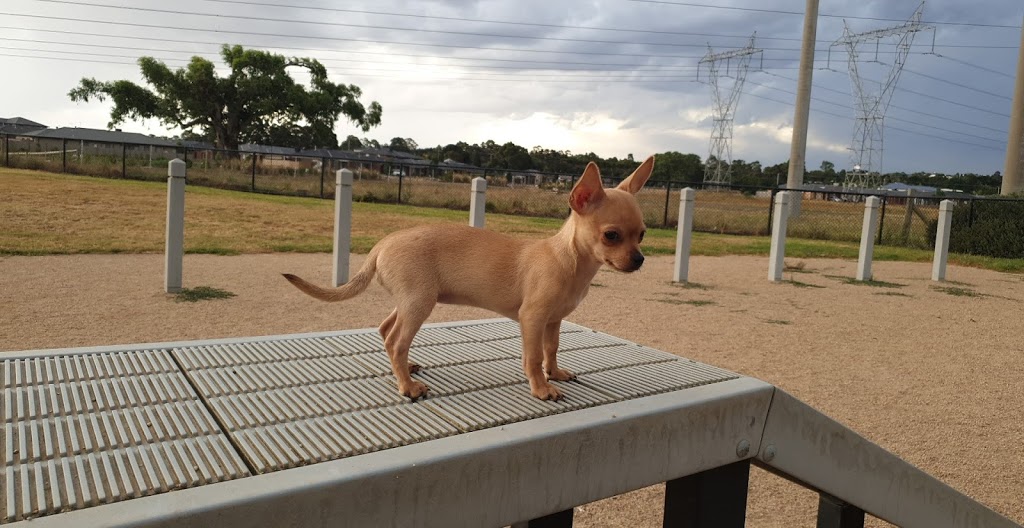 Doreen dog park | park | 13 Fitzwilliam Dr, Doreen VIC 3754, Australia