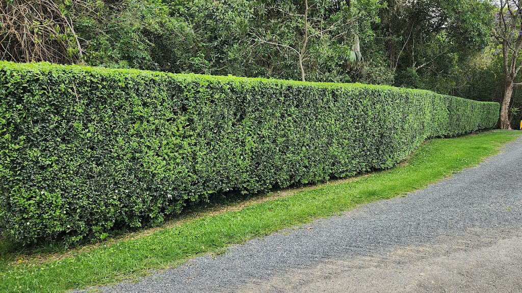 Pacific Palms Mowing | Boomerang Dr, Boomerang Beach NSW 2428, Australia | Phone: 0484 037 930